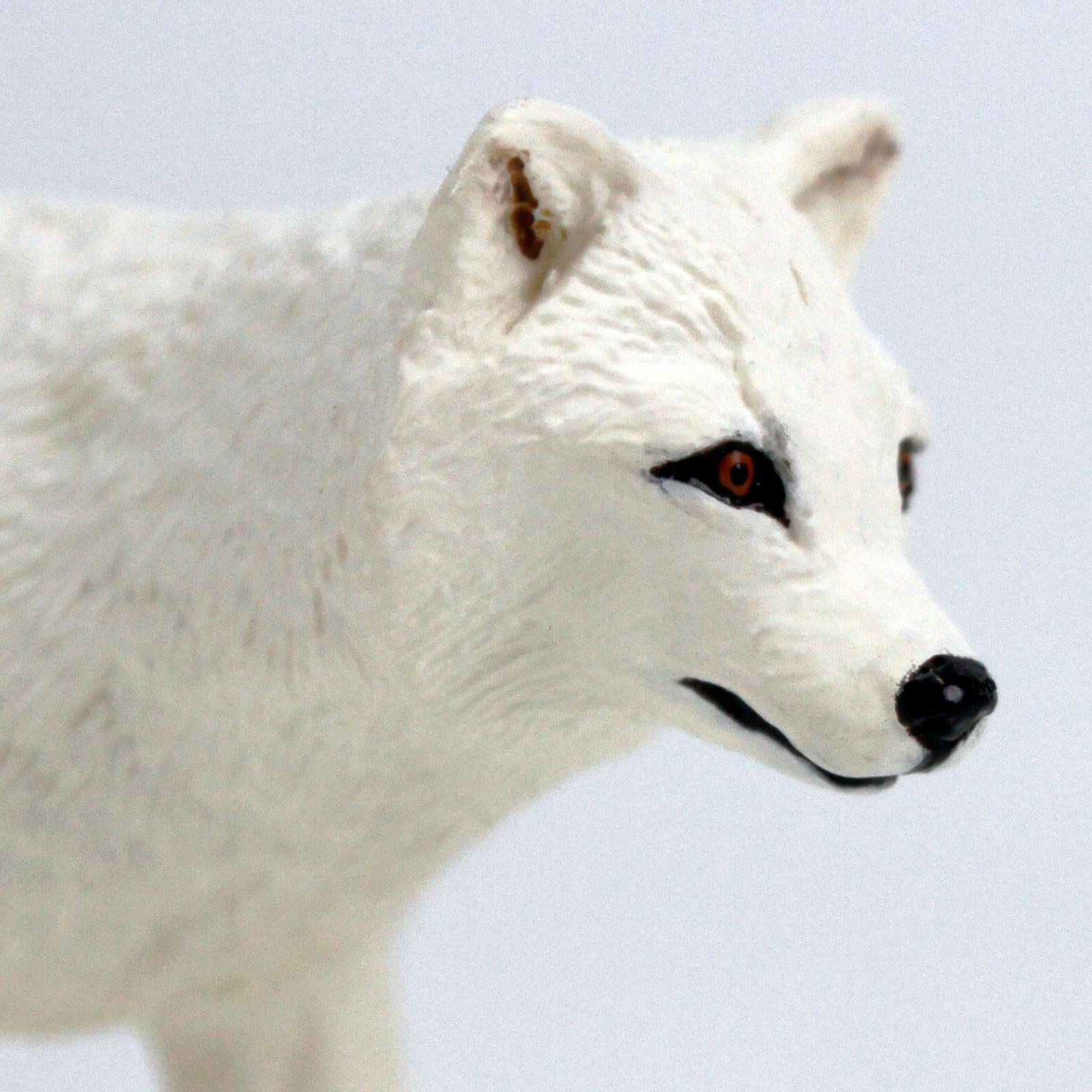 Amazon.com: Safari Ltd. Arctic Fox Toy Figure | North American